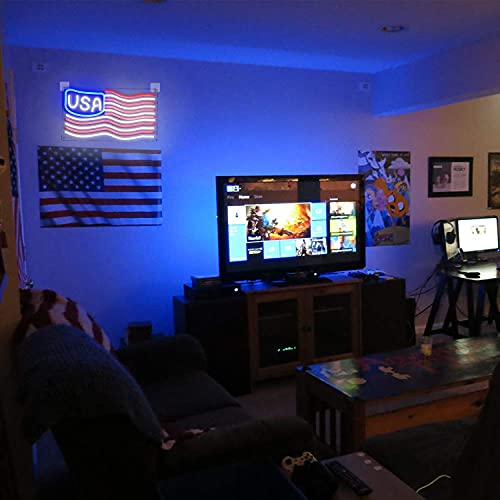 American Flag Neon Sign
