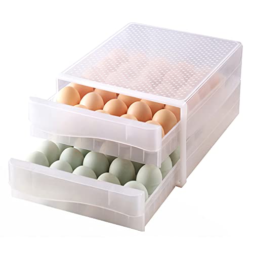 60 Grid Eggs Storage Container for Refrigerator