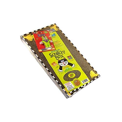 Scratch 'n Play Ramp Reversible Cardboard Toy