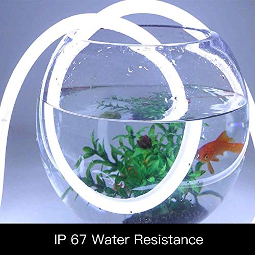 Neon LED Strip Light 16.4ft/5m 12V DC 600 LEDs Waterproof Flexible