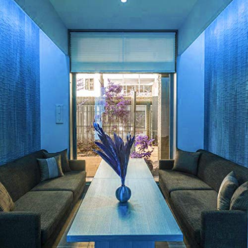 Neon LED Strip Light 16.4ft/5m 12V DC 600 LEDs Waterproof Flexible