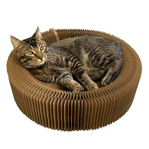 Cat Scratcher Lounge Bed- As Seen on Tiktok