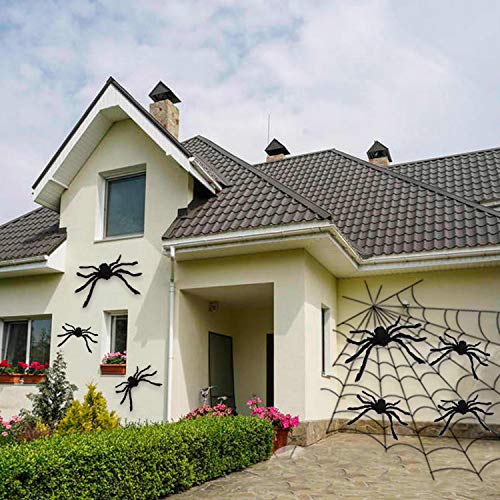 6 Halloween Realistic Hairy Spiders