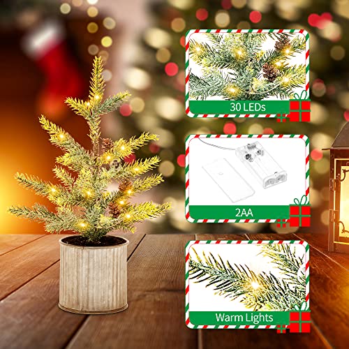 Tabletop Christmas Tree with Lights & Pinecones