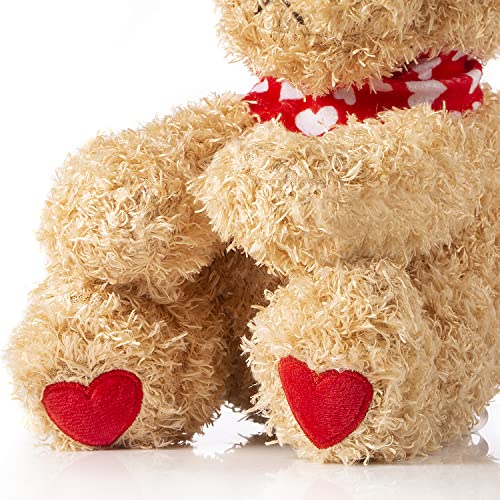 10 Inch Valentines Day Gift Bear Plush Stuffed Animal