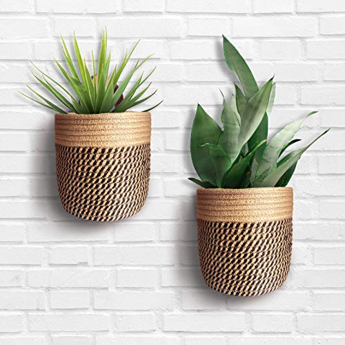 2 Pack Wall Basket w/ FREE Wall Hook