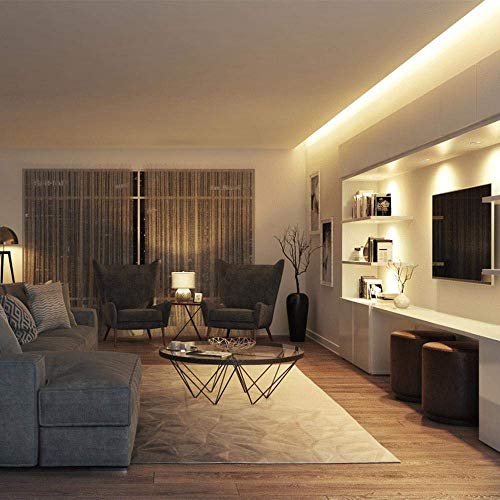 Neon LED Strip Light 16.4ft/5m 12V DC 600 LEDs Waterproof Flexible