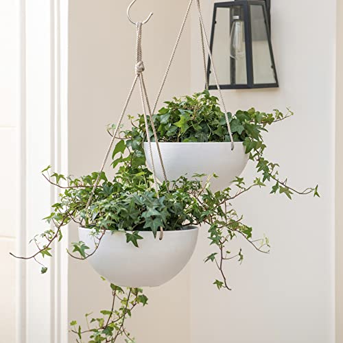 Hanging Planter Flower Plant Pots - 10 Inch-Set of 2