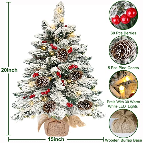 [ Snow Flocked & Timer ] Pre-lit Tabletop Christmas Tree Decoration