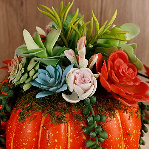 Thanksgiving Decorations Pumpkin with Plastic Succulents