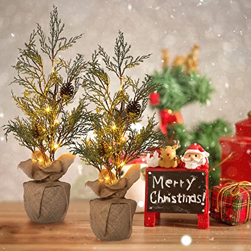 2 Pack Pre-lit Artificial Mini Christmas Tree