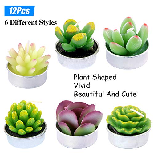 12Pcs Cute Handmade Artificial Succulents Tealight Candles Set