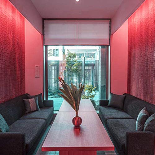 Neon LED Strip Light 16.4ft/5m 12V DC 600 LEDs Waterproof Flexible