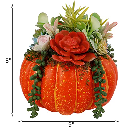 Thanksgiving Decorations Pumpkin with Plastic Succulents