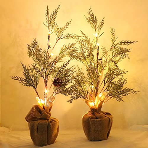 2 Pack Pre-lit Artificial Mini Christmas Tree