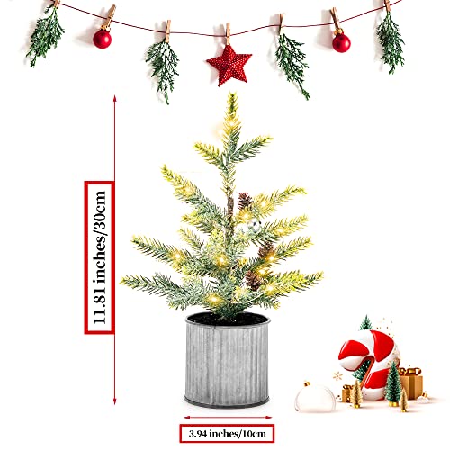 Tabletop Christmas Tree with Lights & Pinecones