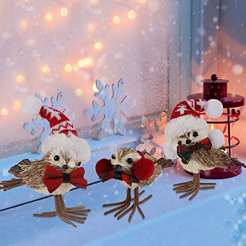 Set of 3 Christmas Birds Decoration