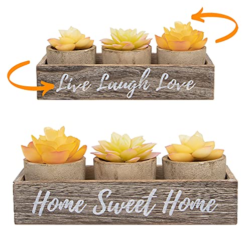 3 Artificial Succulent Plants in Pots Rustic Planter Box