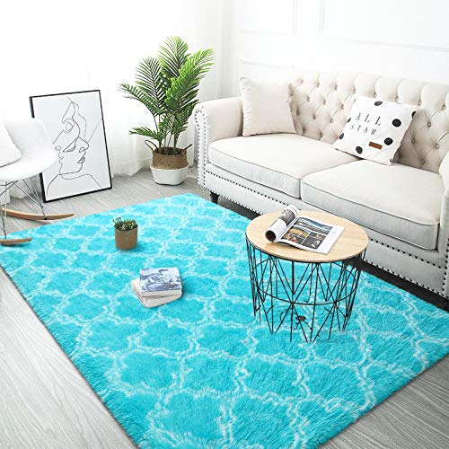 Luxury Indoor Plush Fluffy Rug Extra Soft and Comfy Carpet