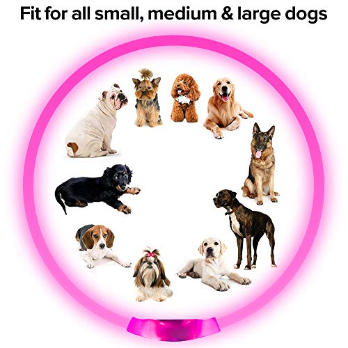 Led Dog Collar USB Rechargeable Flash Dog Necklace Light, Pet Safety Collar