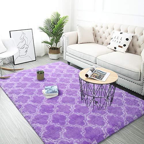 Luxury Indoor Plush Fluffy Rug Extra Soft and Comfy Carpet