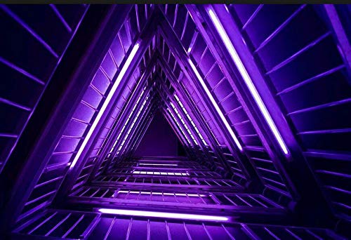 Neon LED Strip Light 16.4ft/5m 12V DC 600 LEDs Waterproof Flexible