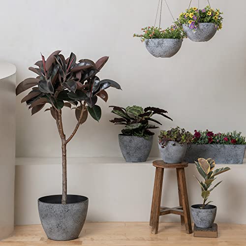 Hanging Planter Flower Plant Pots - 10 Inch-Set of 2