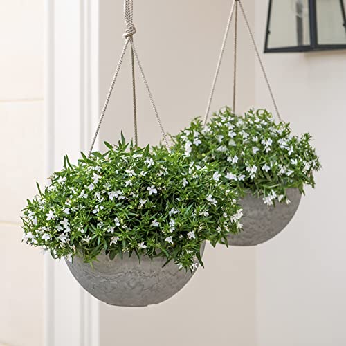 Hanging Planter Flower Plant Pots - 10 Inch-Set of 2