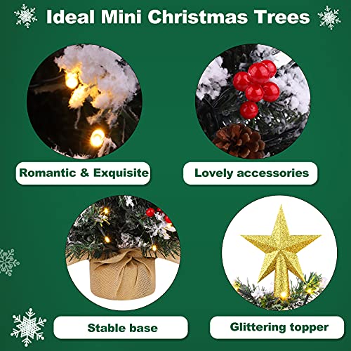 2 Pack 22 Inch Mini Artificial Christmas Trees w/ 2 String LED Lights