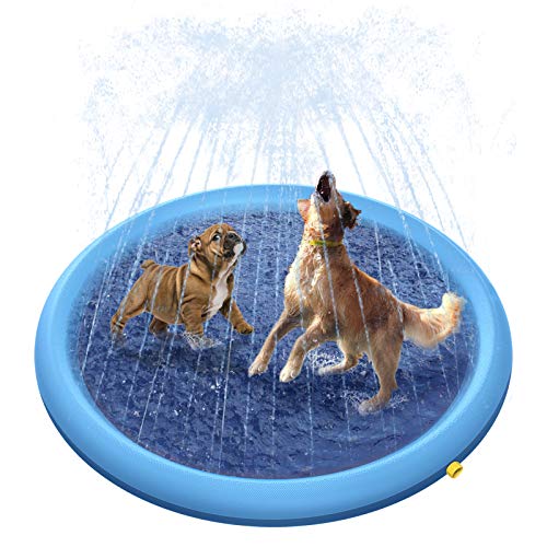 Splash Sprinkler Pad for Dogs/Kids