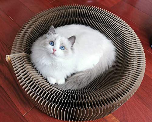 Cat Scratcher Lounge Bed- As Seen on Tiktok