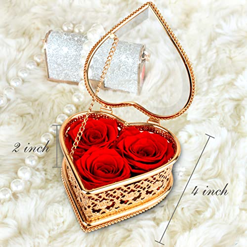 Preserved Flowers Box Gifts for Women