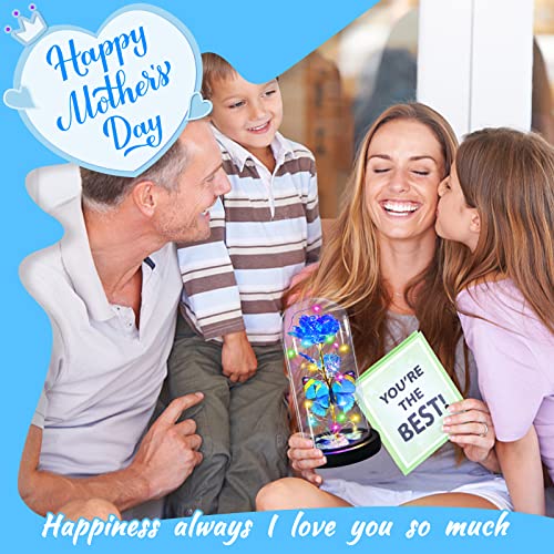 I Love You Mom Galaxy Roses Gifts in Glass Dome for Mothers Day/Birthday