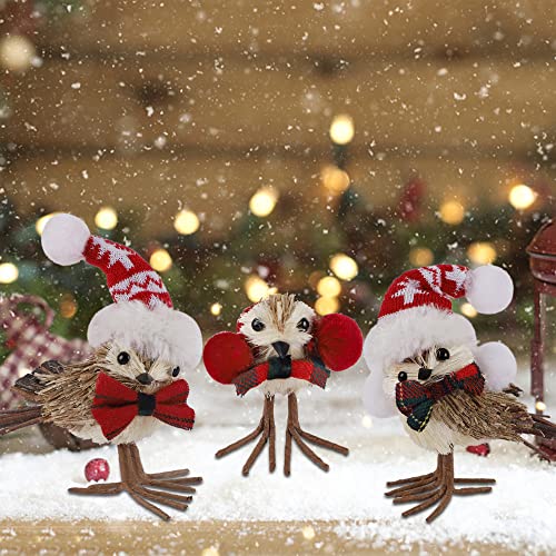Set of 3 Christmas Birds Decoration
