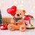 Valentine's Day Gift Stuffed Teddy Bear