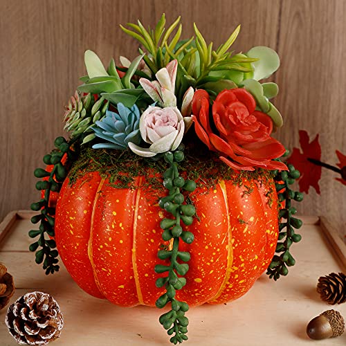 Thanksgiving Decorations Pumpkin with Plastic Succulents