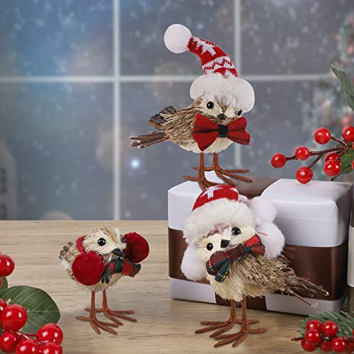 Set of 3 Christmas Birds Decoration
