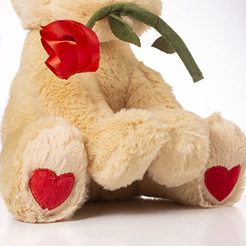 10 Inch Valentines Day Gift Bear Plush Stuffed Animal