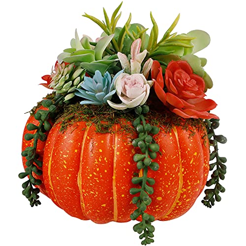 Thanksgiving Decorations Pumpkin with Plastic Succulents