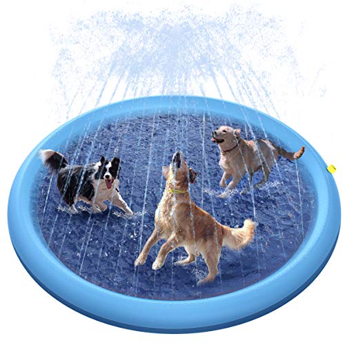 Splash Sprinkler Pad for Dogs/Kids