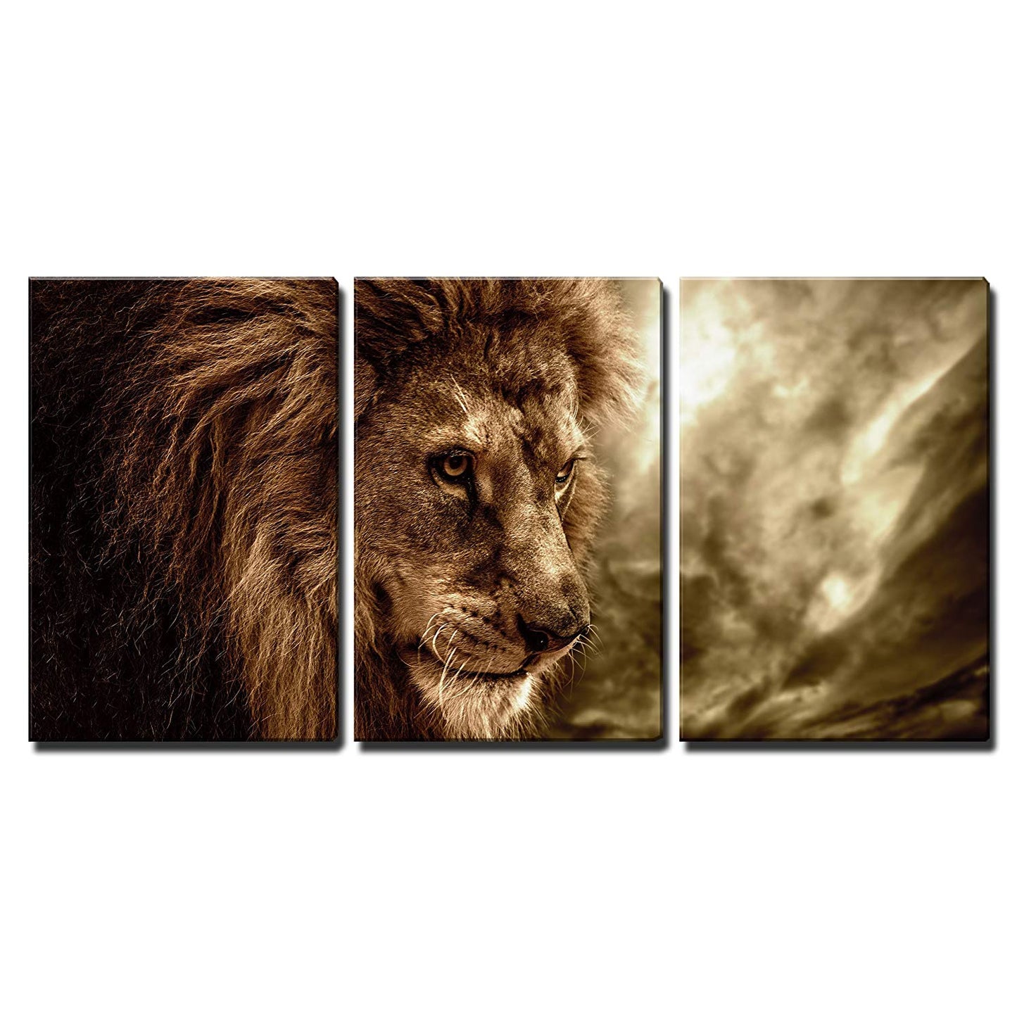3 Piece Canvas Wall Art -Lion Against Stormy Sky- Stretched & Framed