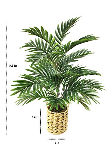 Artificial Palm Tree 24" for Home Decor
