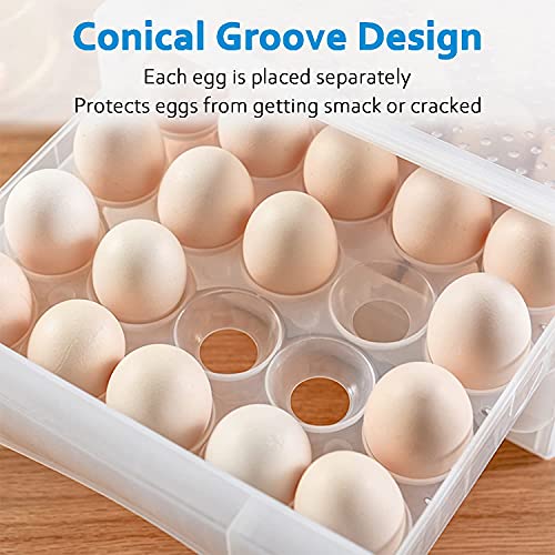 60 Grid Eggs Storage Container for Refrigerator