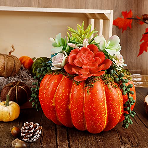 Thanksgiving Decorations Pumpkin with Plastic Succulents