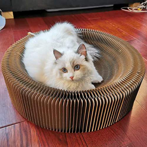 Cat Scratcher Lounge Bed- As Seen on Tiktok