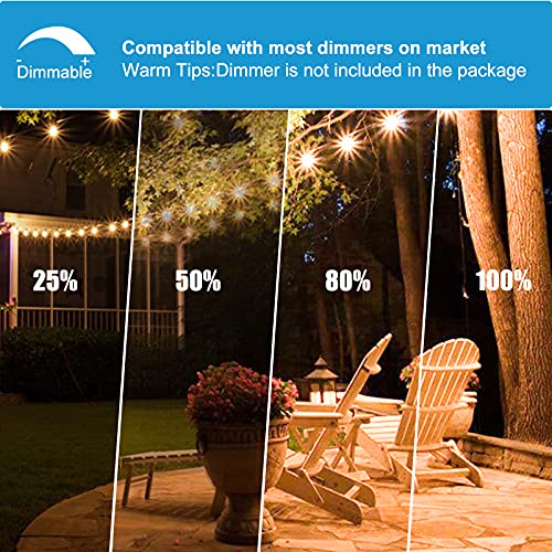 LED Outdoor String Lights, 2W Shatterproof Dimmable