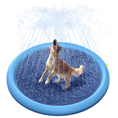 Splash Sprinkler Pad for Dogs/Kids