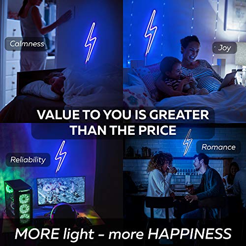 2.0 Upgrade Lightning Neon Lights - Very Bright, USB Plug, Adapter, Switch, Long Cable