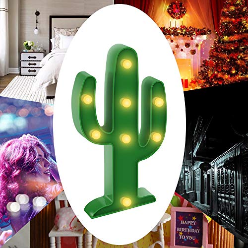 Cactus Light for Home Room Decoration