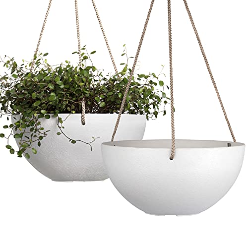 Hanging Planter Flower Plant Pots - 10 Inch-Set of 2